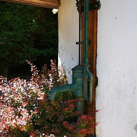 Studio Vacances Proche Plages Neufchâtel-Hardelot Exteriör bild