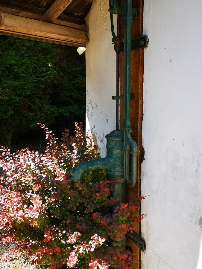 Studio Vacances Proche Plages Neufchâtel-Hardelot Exteriör bild